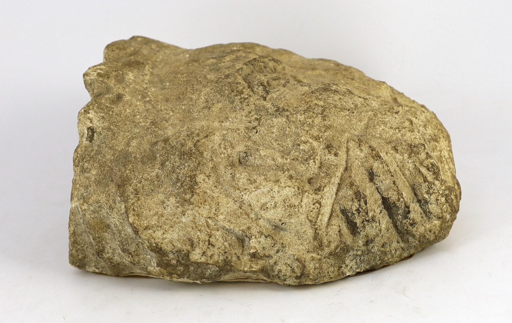 An English carved limestone head of a bearded king, possibly Anglo-Saxon, 25cm high 22.5cm wide